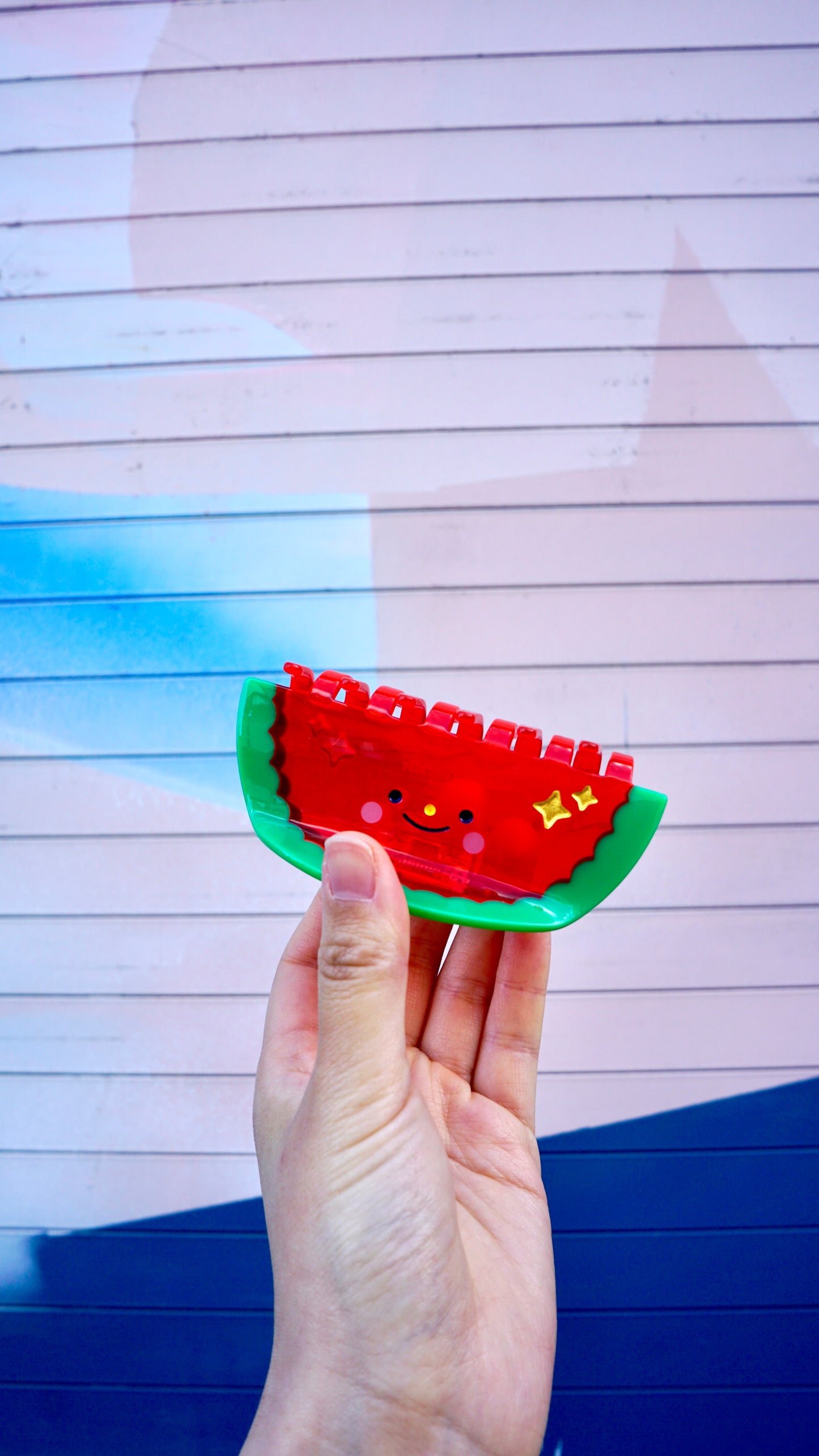 Watermelon Claw Clip