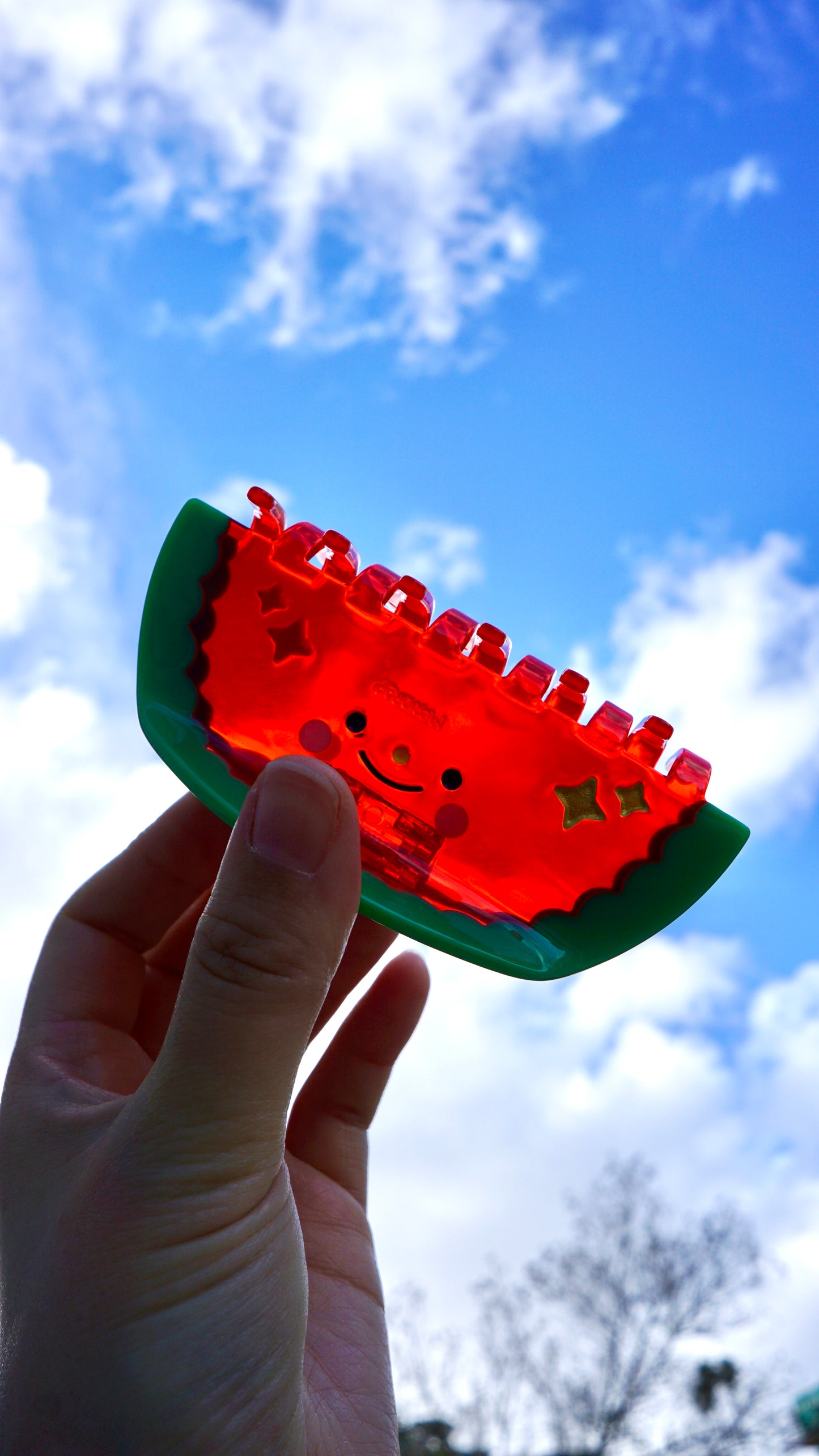 Watermelon Claw Clip