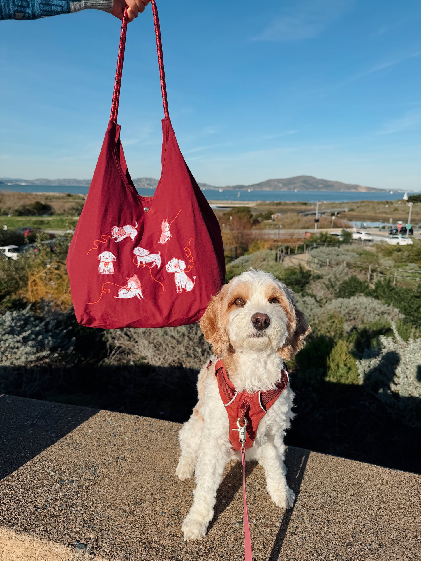 Dog Park Tote Bag