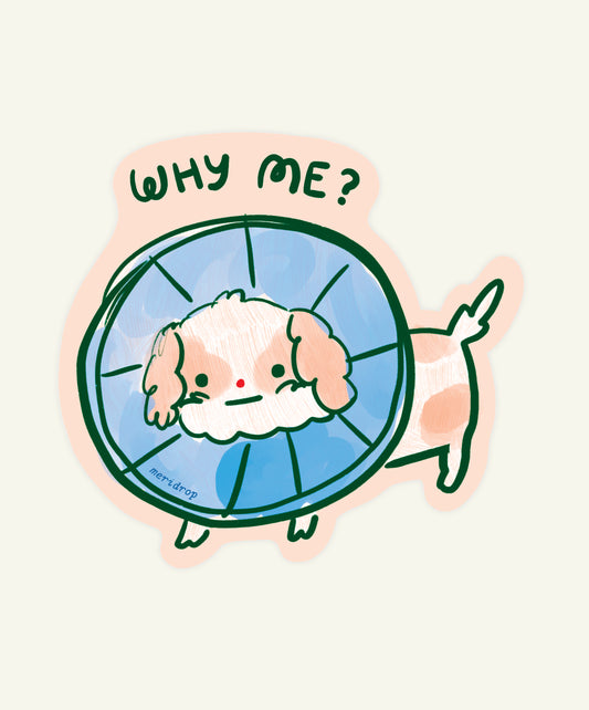 Why Me? Vinyl Sticker