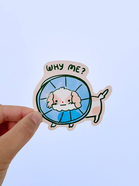 Why Me? Vinyl Sticker